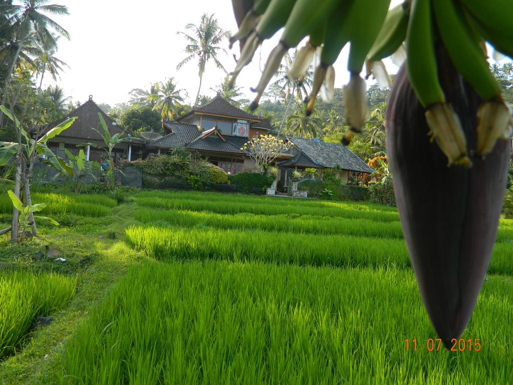 Karangasem Dau Homestay מראה חיצוני תמונה