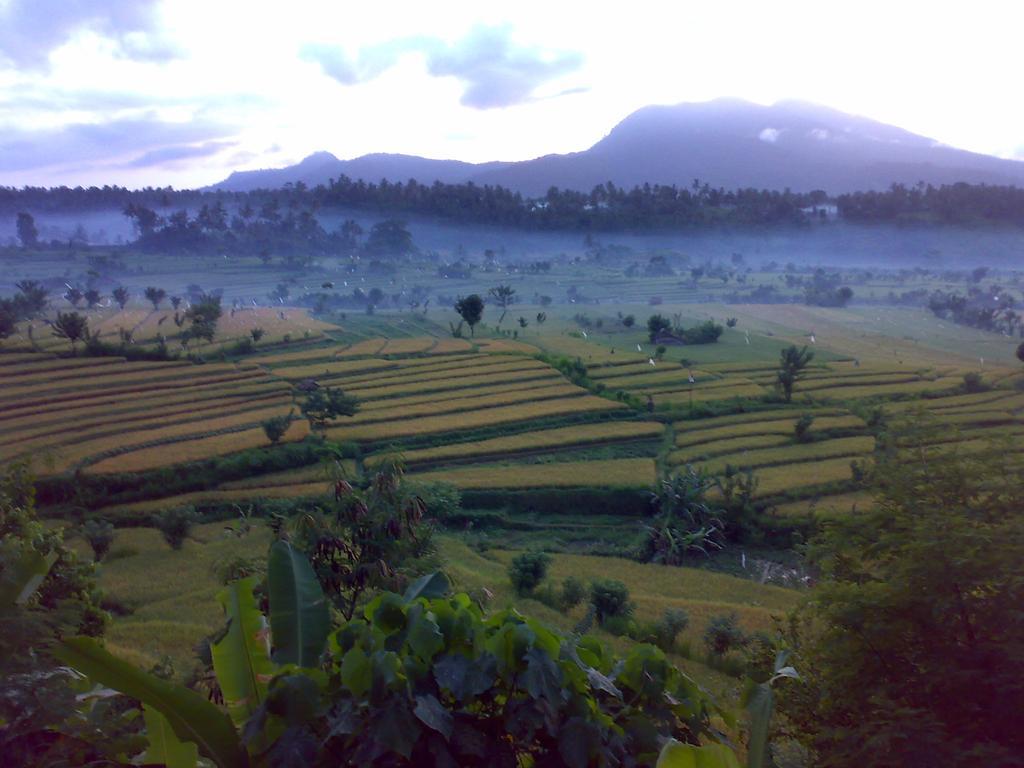 Karangasem Dau Homestay מראה חיצוני תמונה